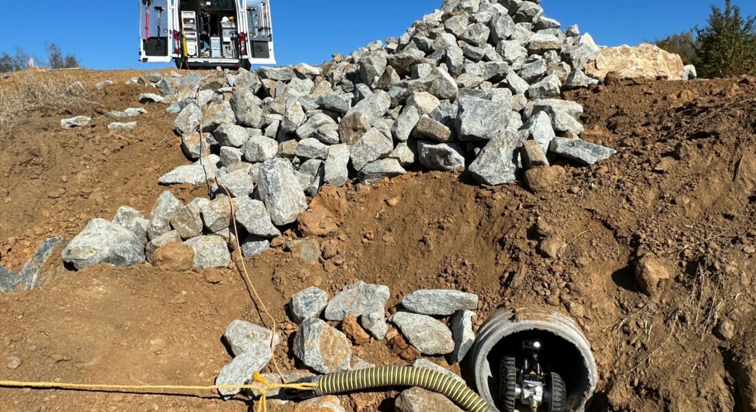 Carolina Civil -- Spring Meadows